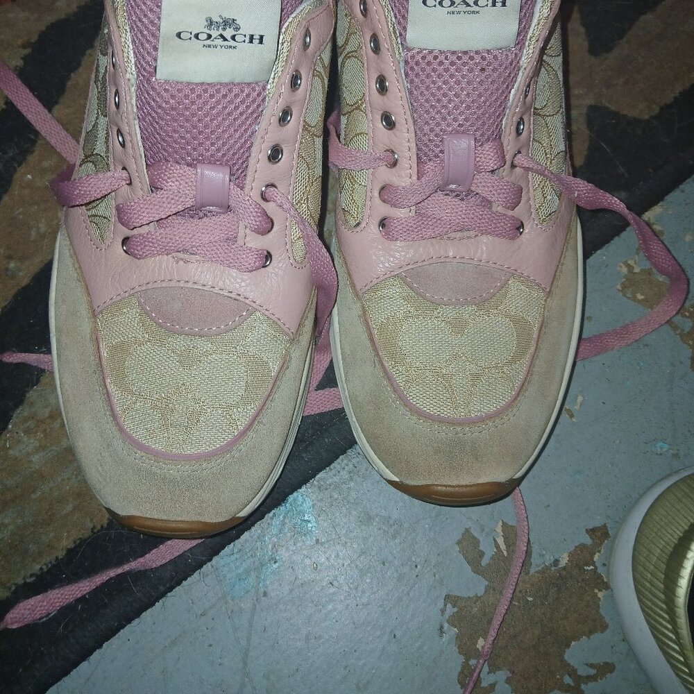 Coach sneaker